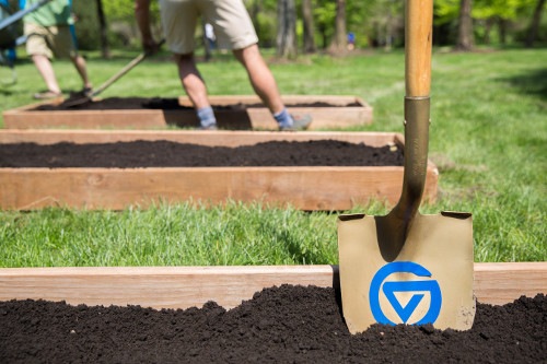 GVSU named a Green College for 10 consecutive years